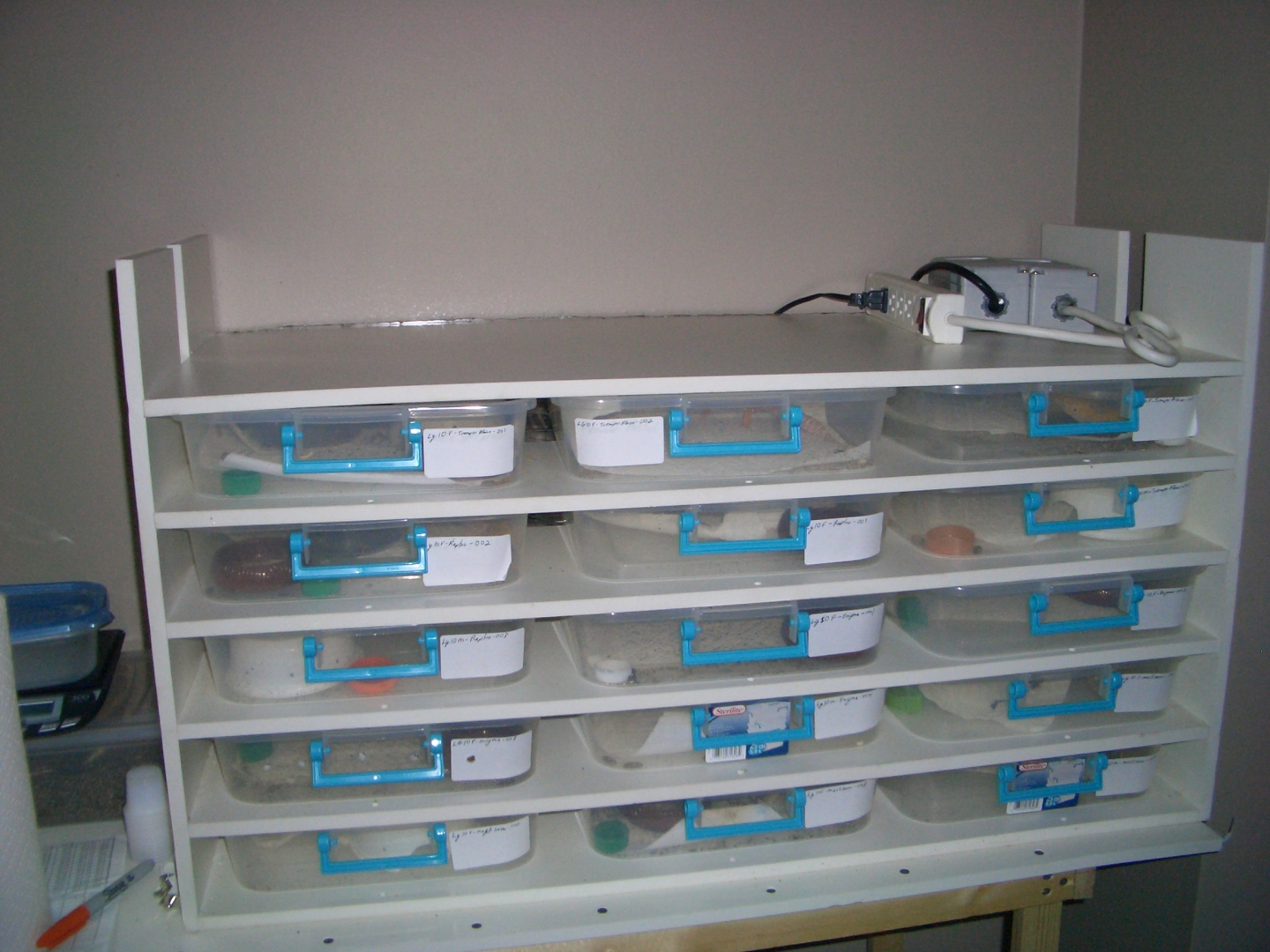 custom rack