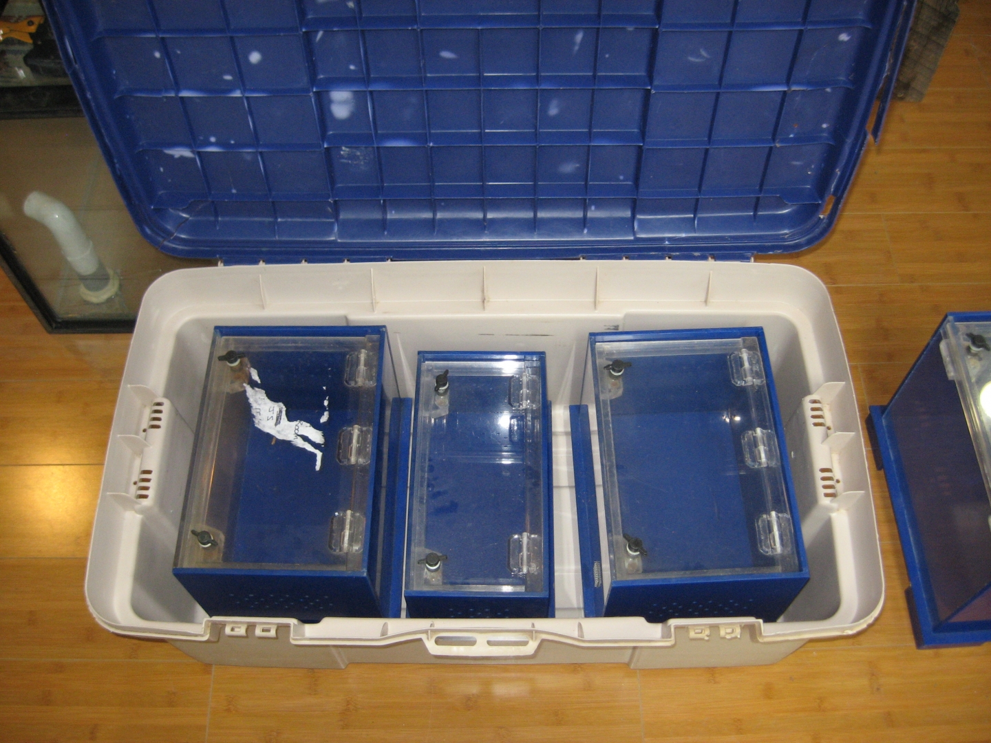 display boxes