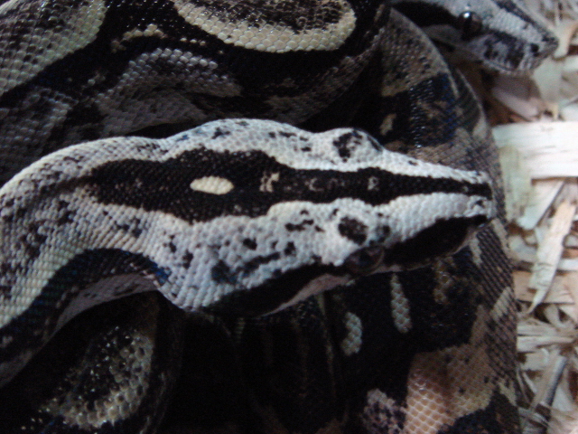 DSC000resize27