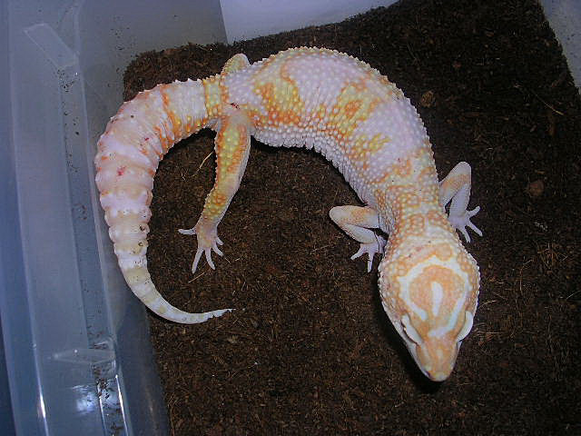 DSCN2638