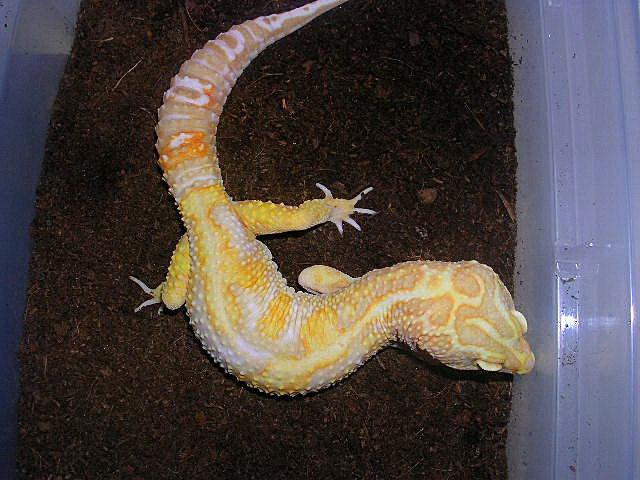 DSCN2639