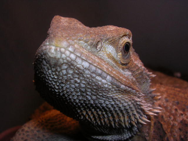 DSCN2695