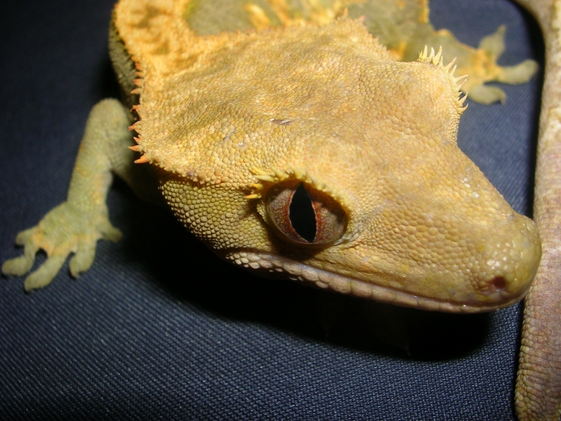 DSCN2821
