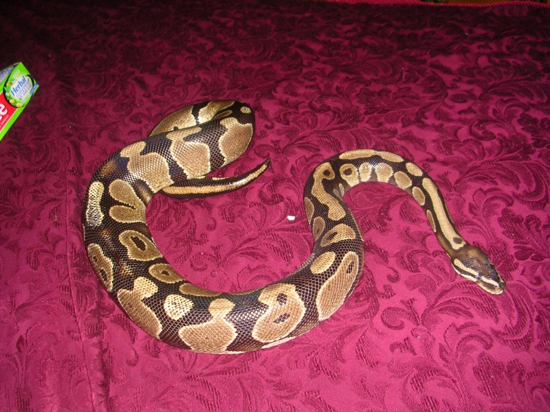 DSCN2855
