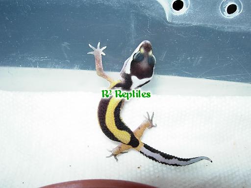 Dscn3147