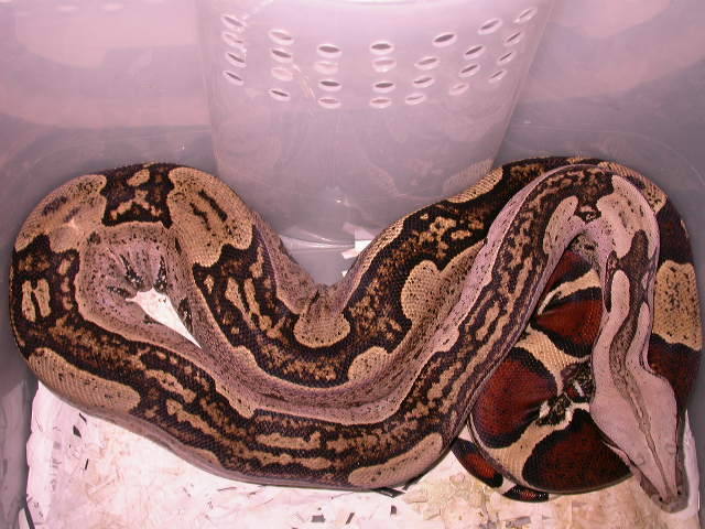 DSCN3393