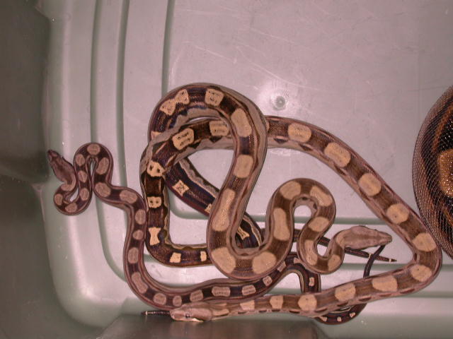 DSCN3815