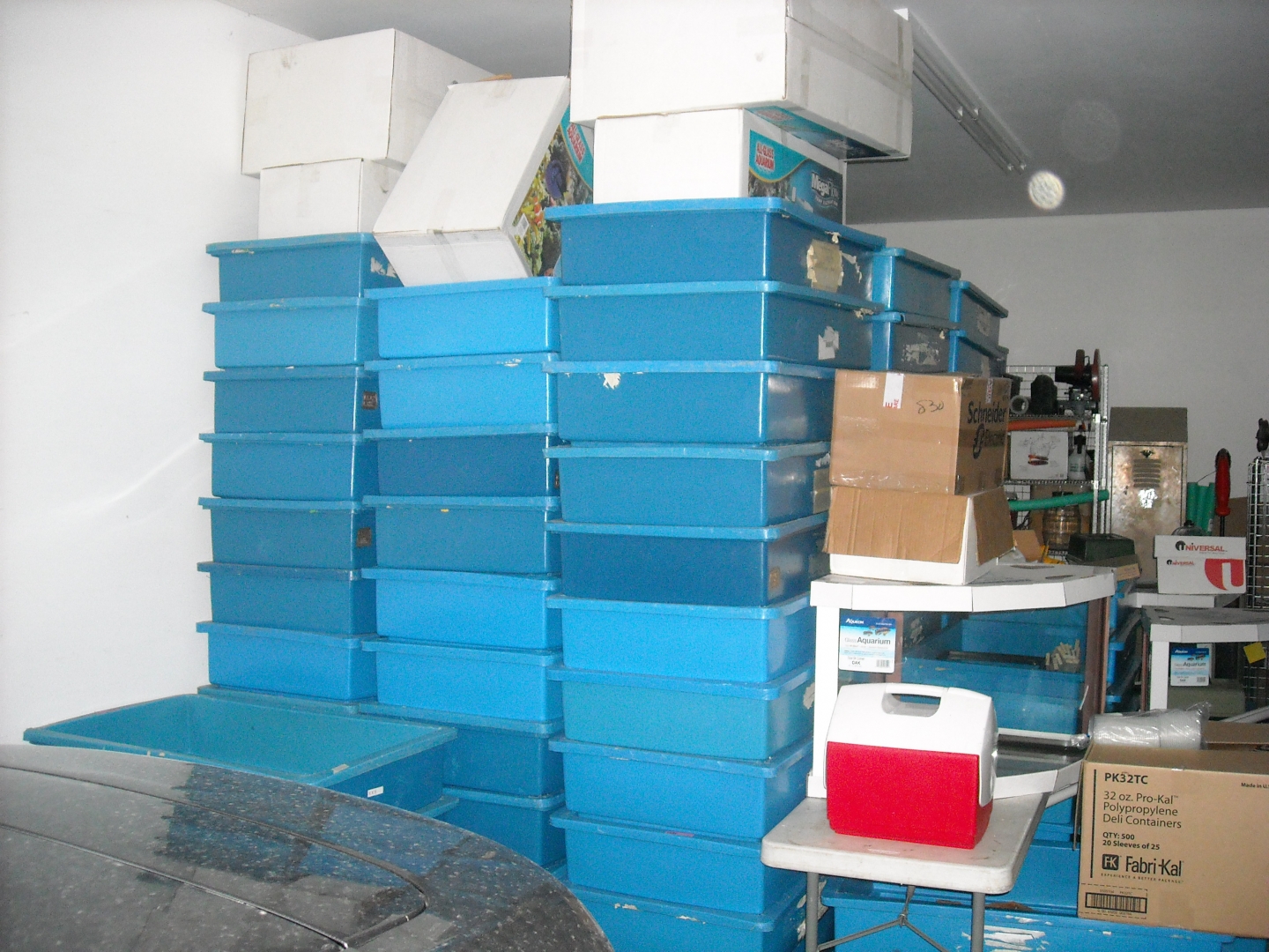 DSCN6584