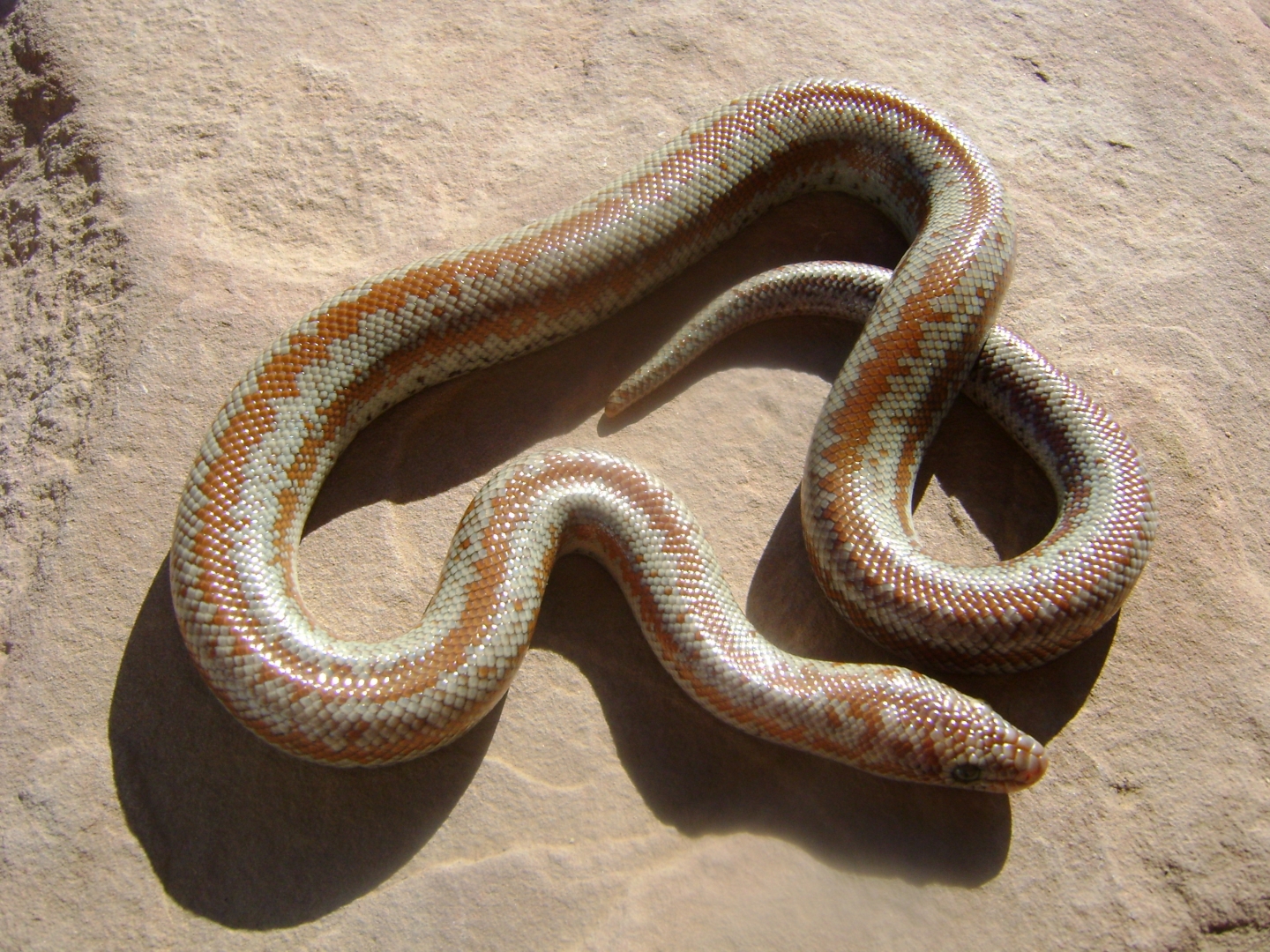 Dulzura