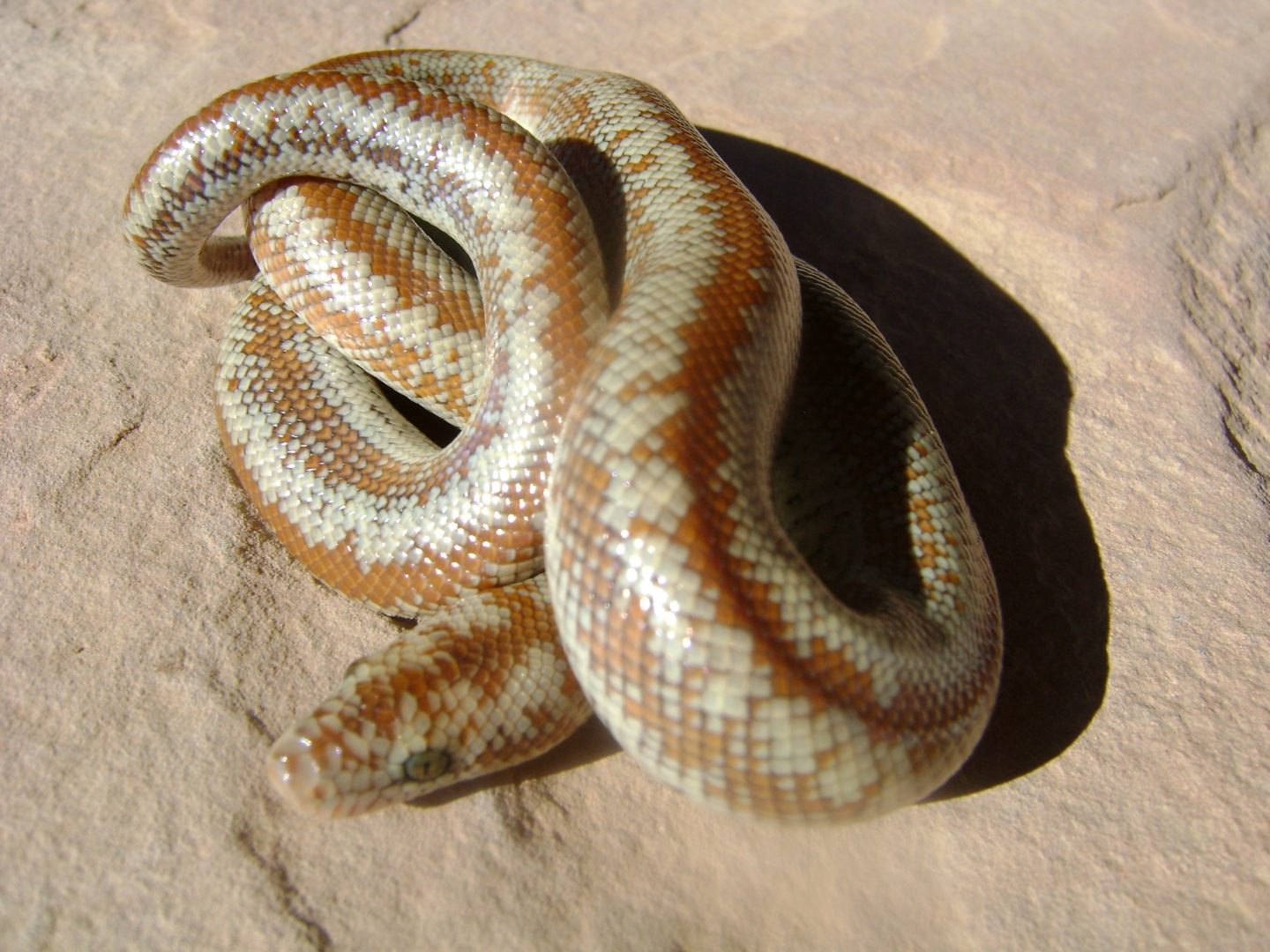 Dulzura