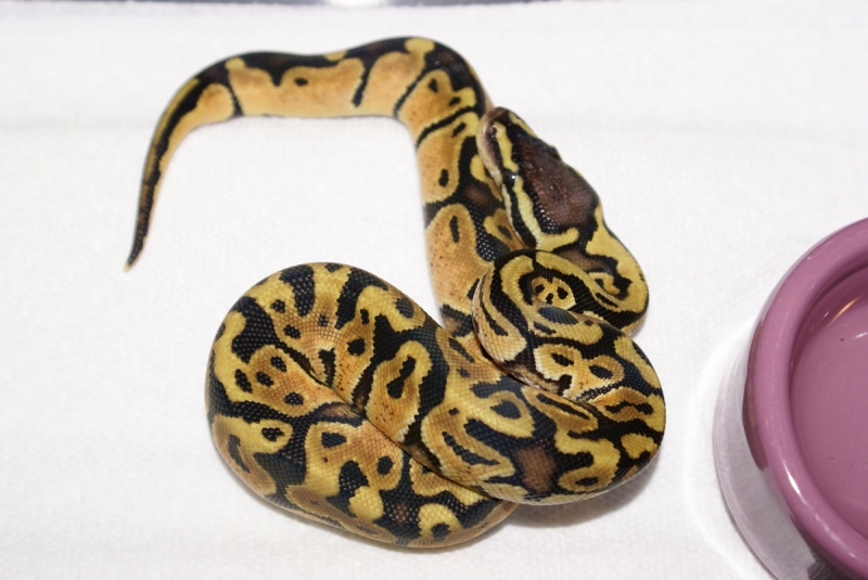 Duncan is a pretty boy!