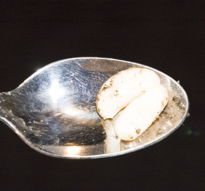 eggs10