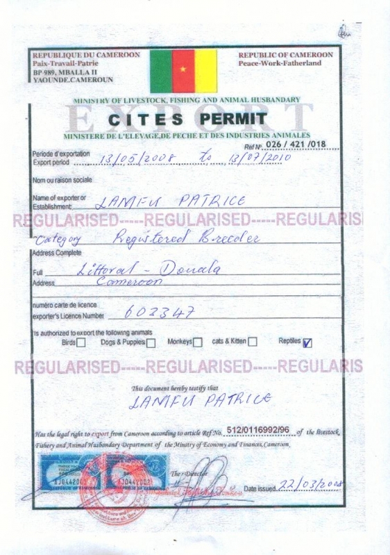 Fake CITES permit
