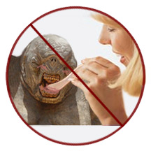 FeedTroll