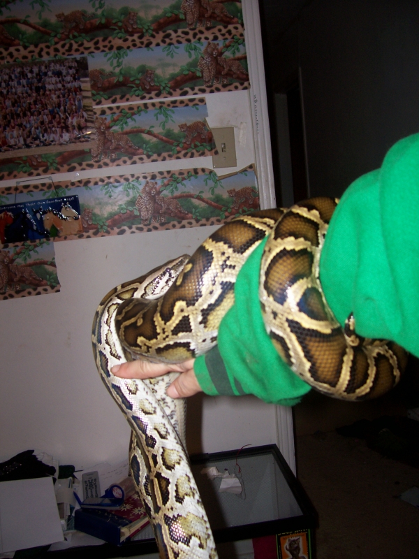 Female Burm