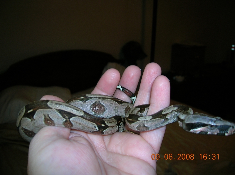 Female Guyana