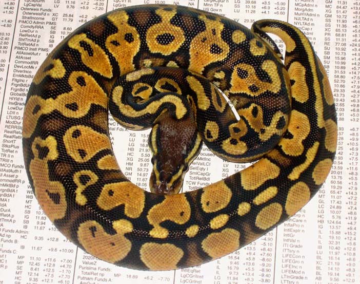 Female Pastel