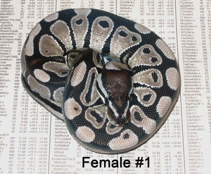 Female VPI #1