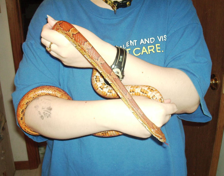 Female