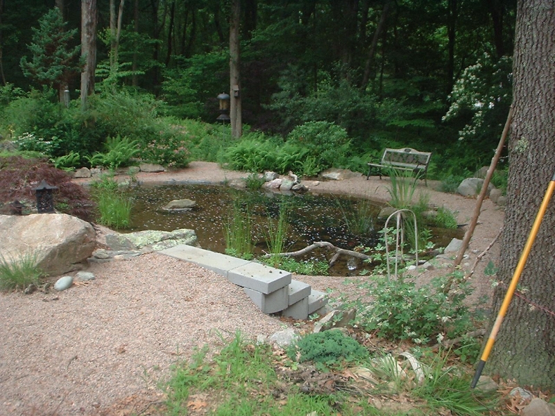 Fishpond