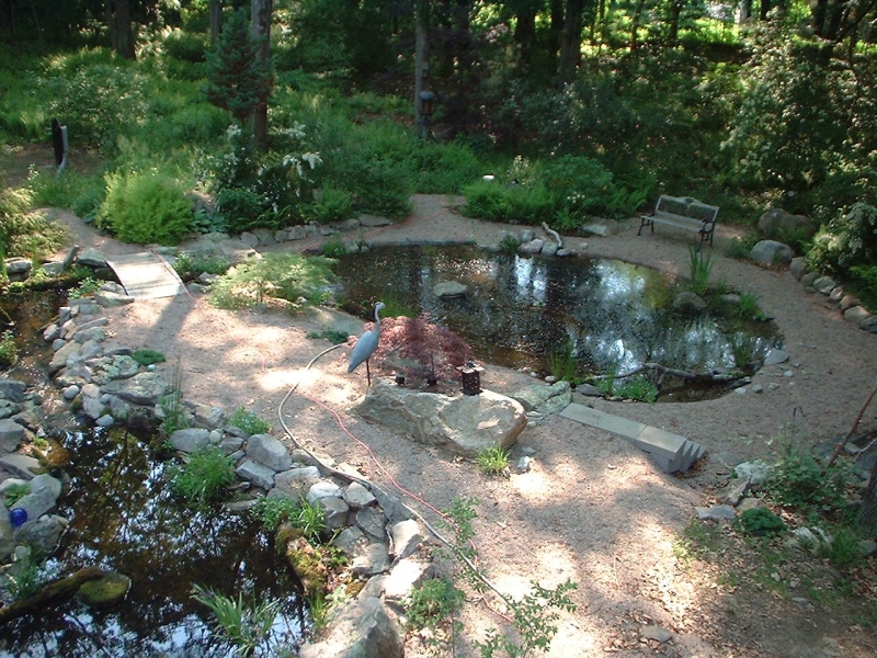 fishpond