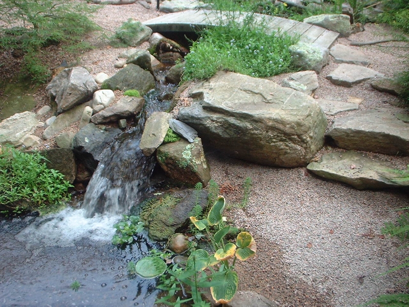 fishpond