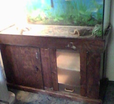 For Sale