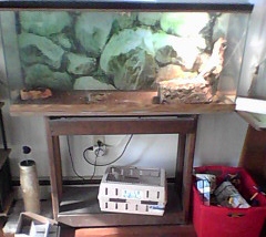 For Sale