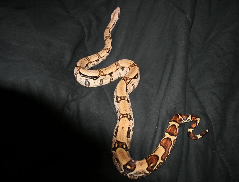 george_2