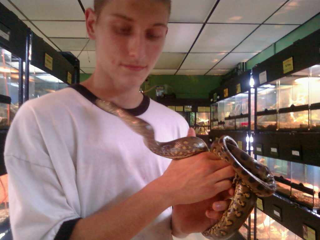 Green Anaconda