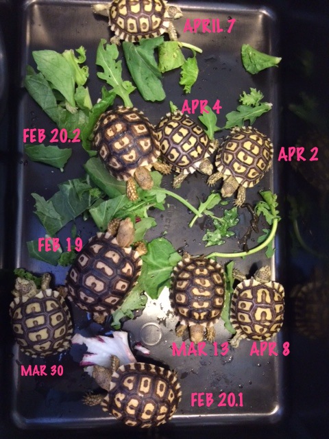 Group shot!