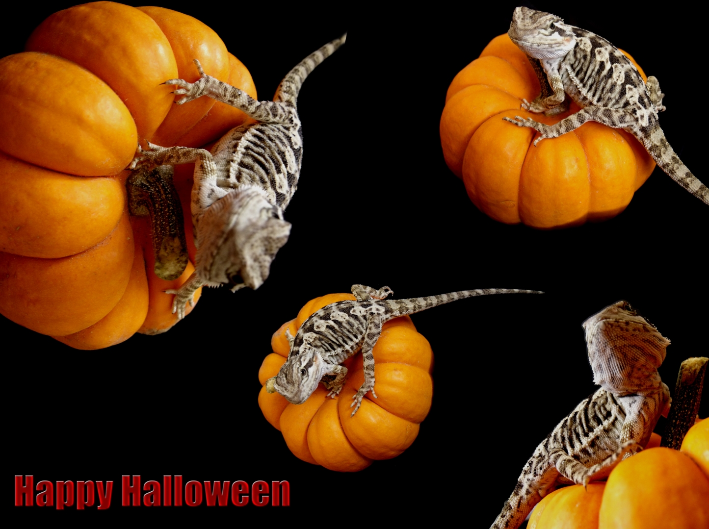 Halloween two