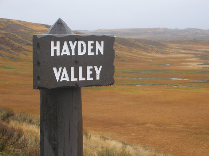 Hayden Valley, Yellowstone National Park