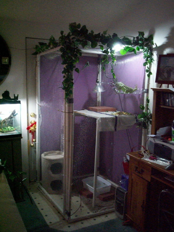Her teenage cage