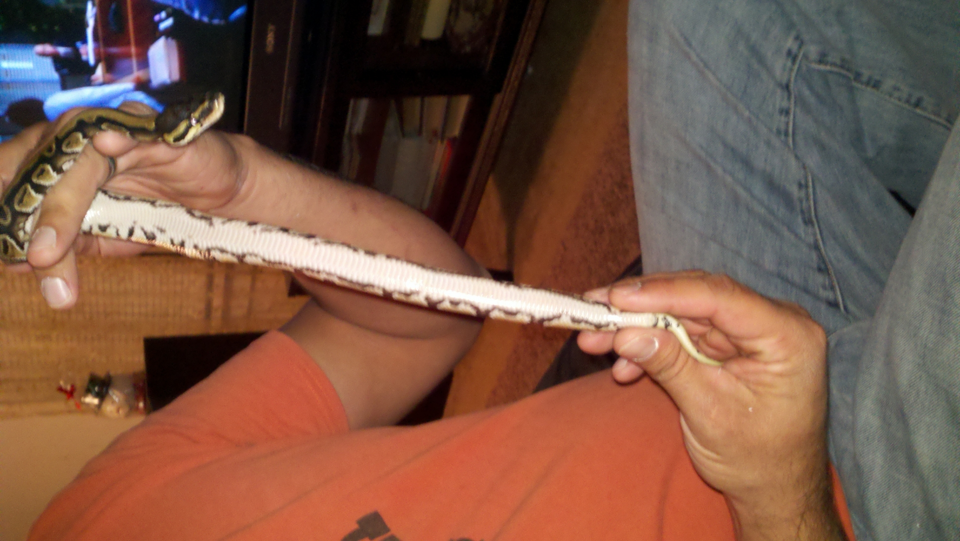 Het pied marker Choo Chooo!!!
