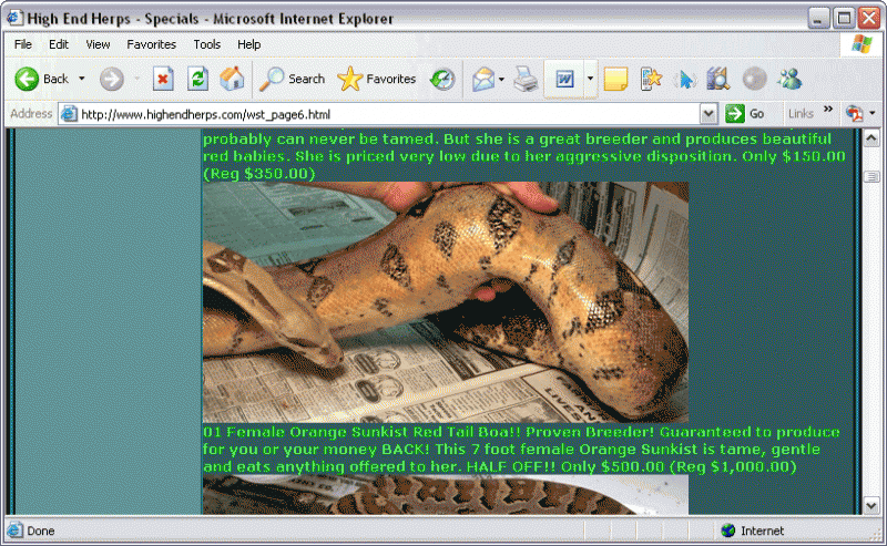 HighEndHerps Sunkist Boa