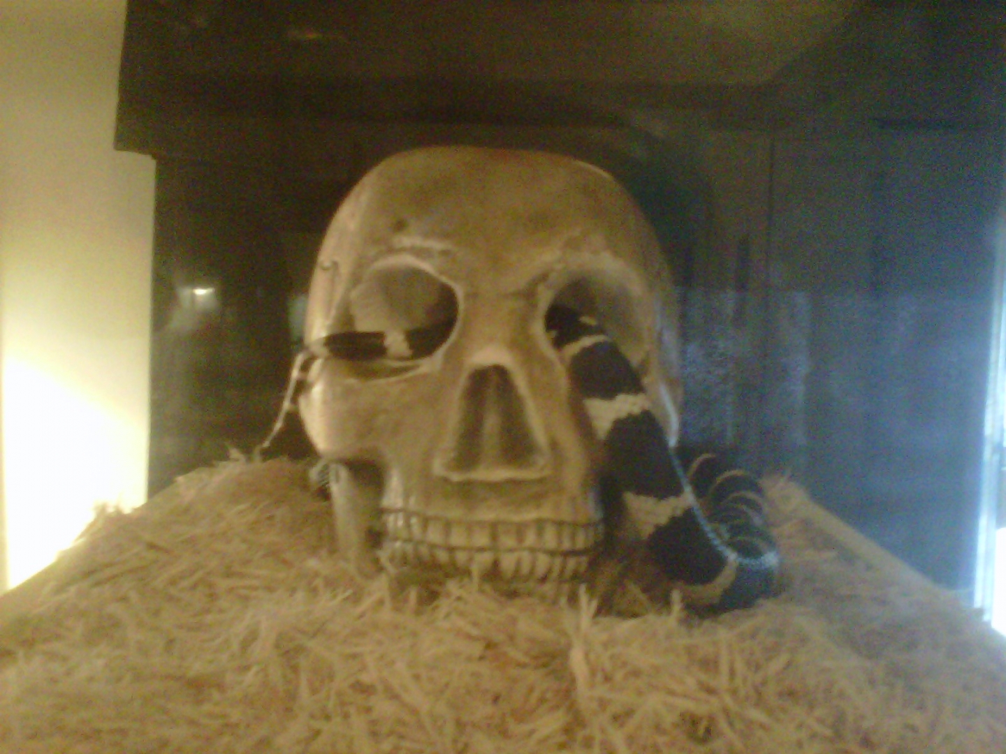 His name is bug
