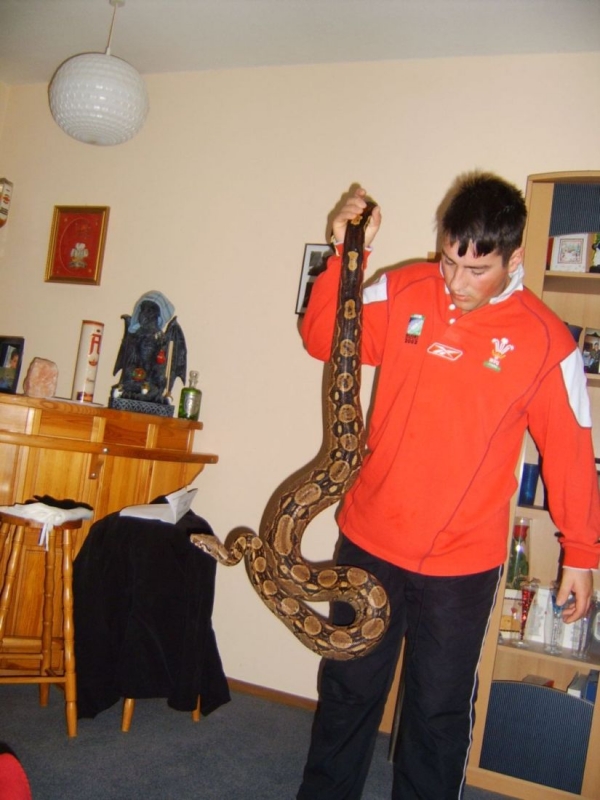 i love my boa/s