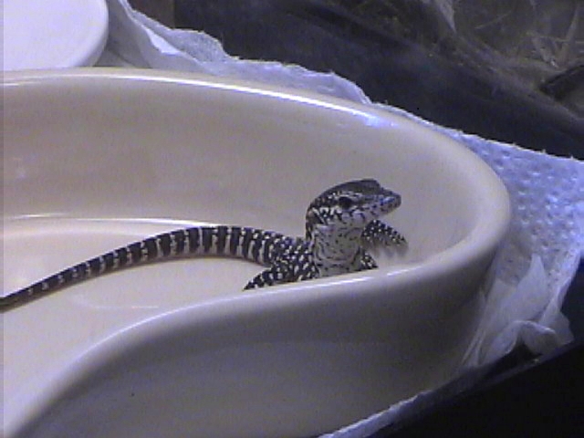 Ichi