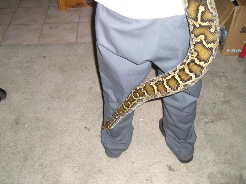 Image00010