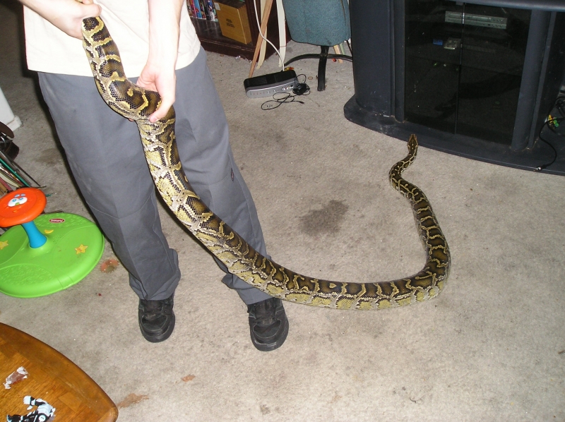 Image00013
