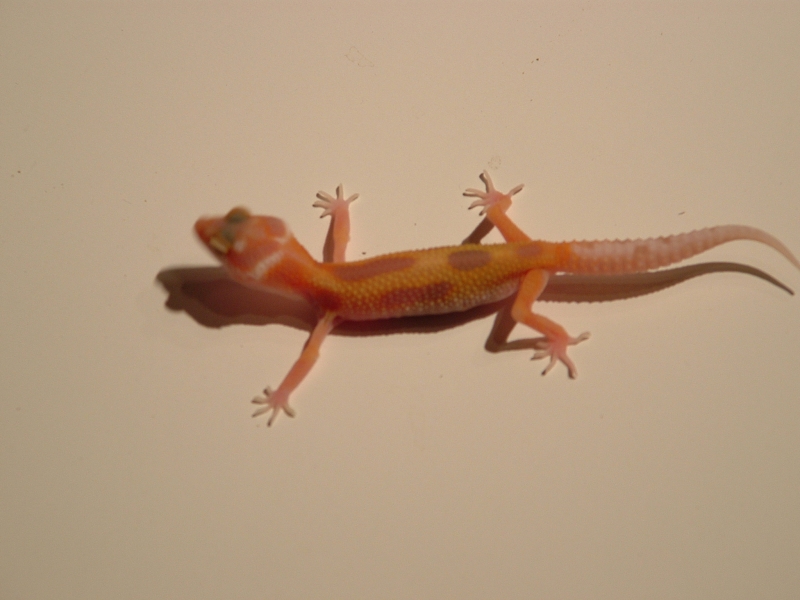Image0011