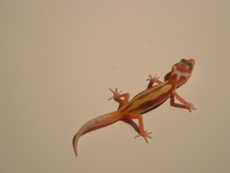 Image002