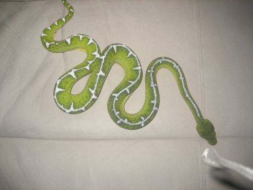 IMG_1466