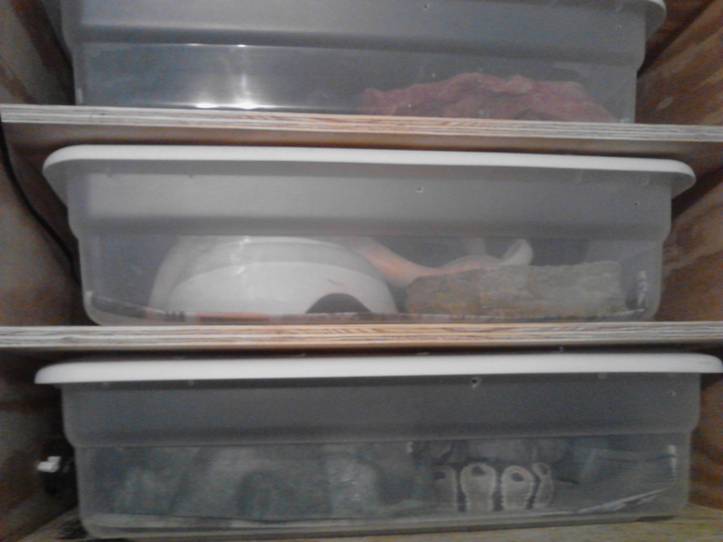 IMG_20120429_201210