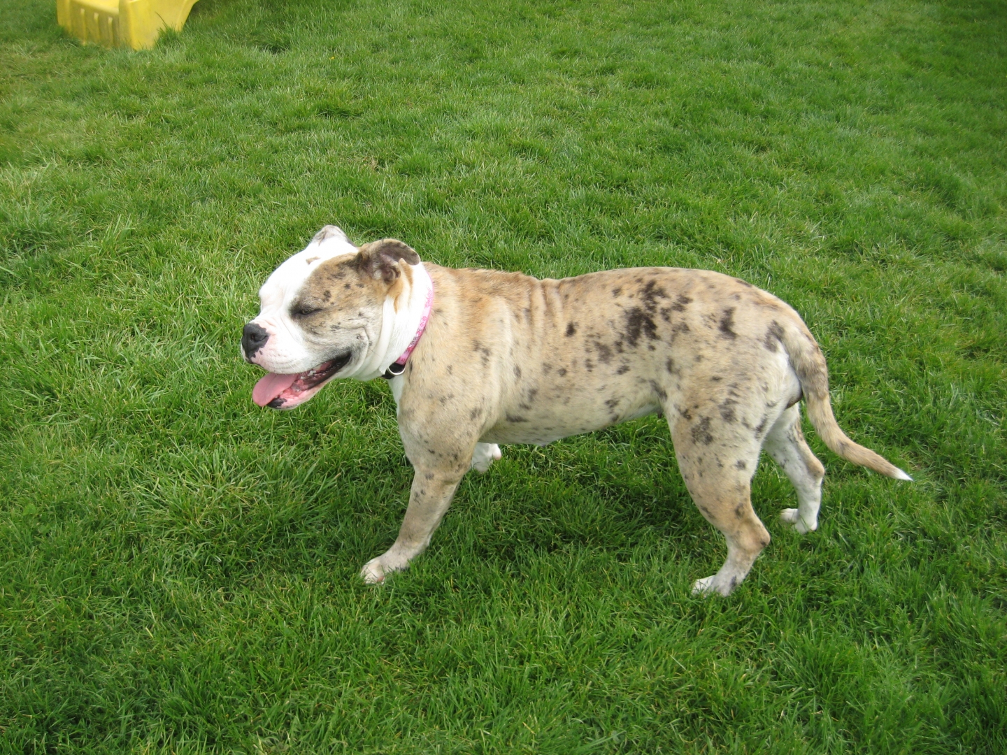 IMG_2083