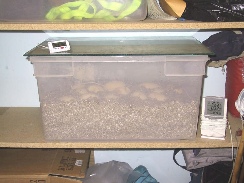 Incubation_Chamber