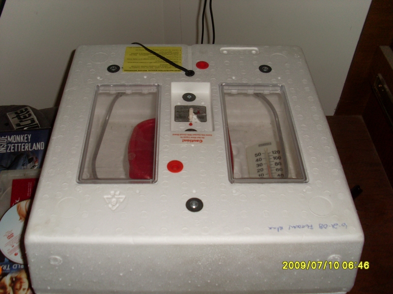 incubator1