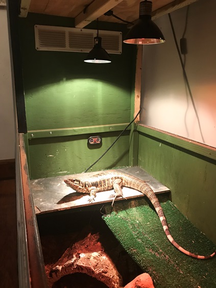 Inside_Left