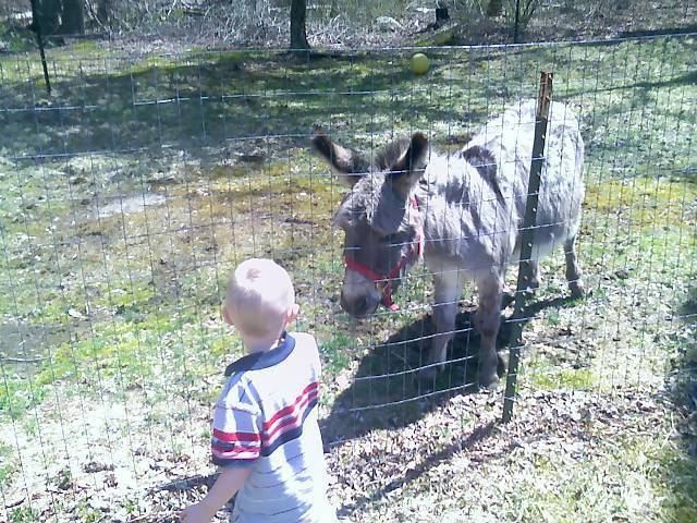 Jay & Shasta